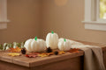 Mini Pumpkins - White