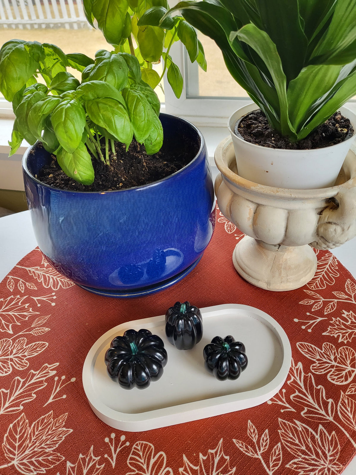 Fall Decor - Pumpkins Mini Trio Set - Black