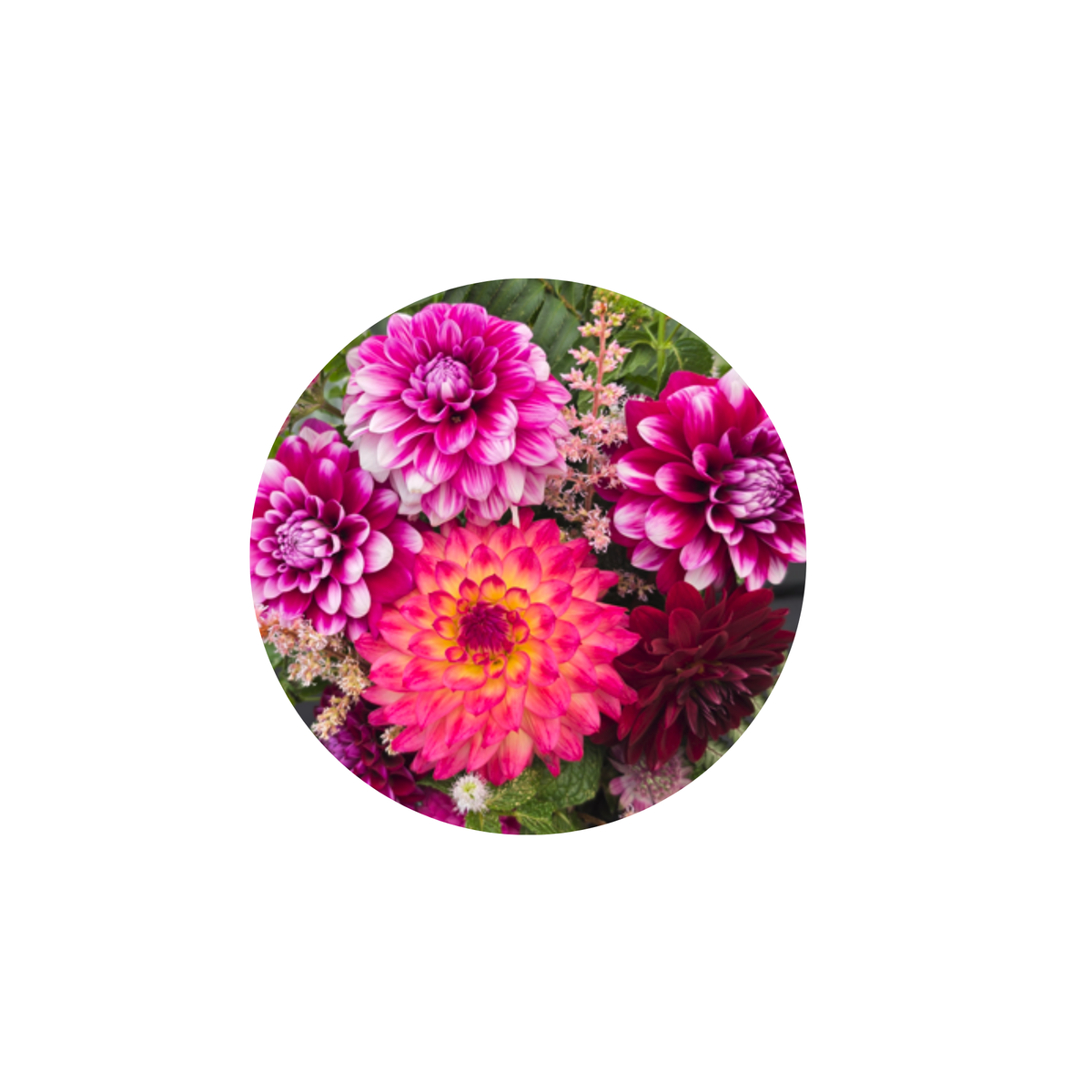 Coasters - Build Your Own Round Dahlia Coaster Set (Free Holder when you buy 4 coasters)