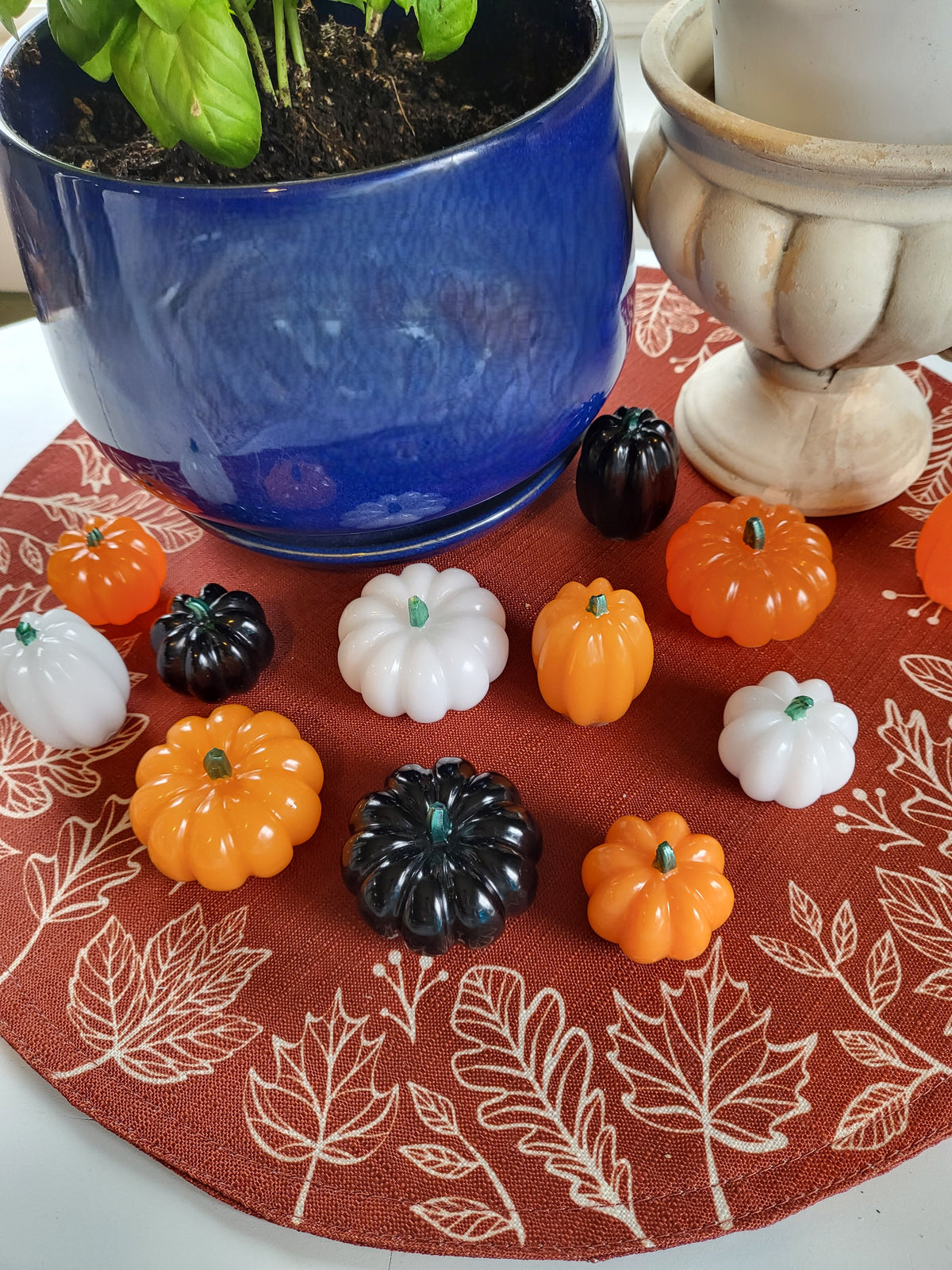 Fall Decor - Pumpkins Mini Trio Set - Black