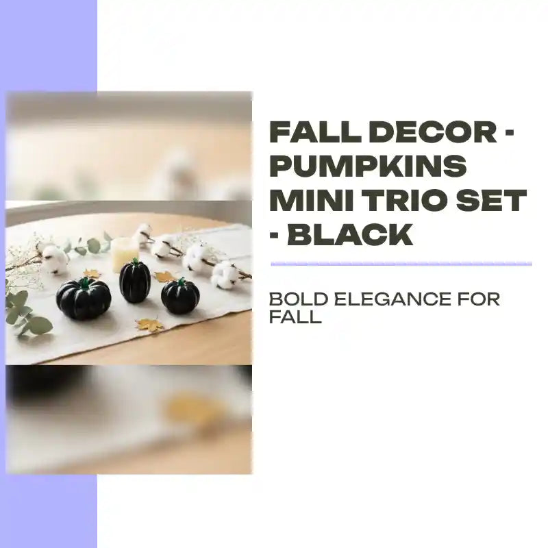Fall Decor - Pumpkins Mini Trio Set - Black by@Outfy